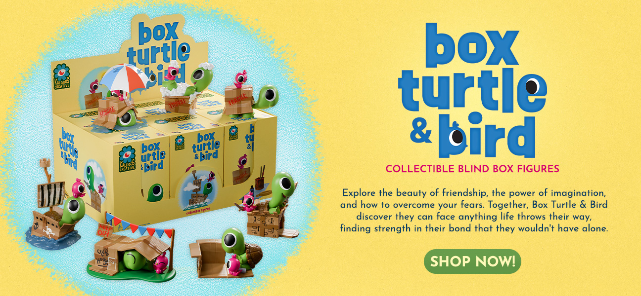 Box Turtle & Bird 
